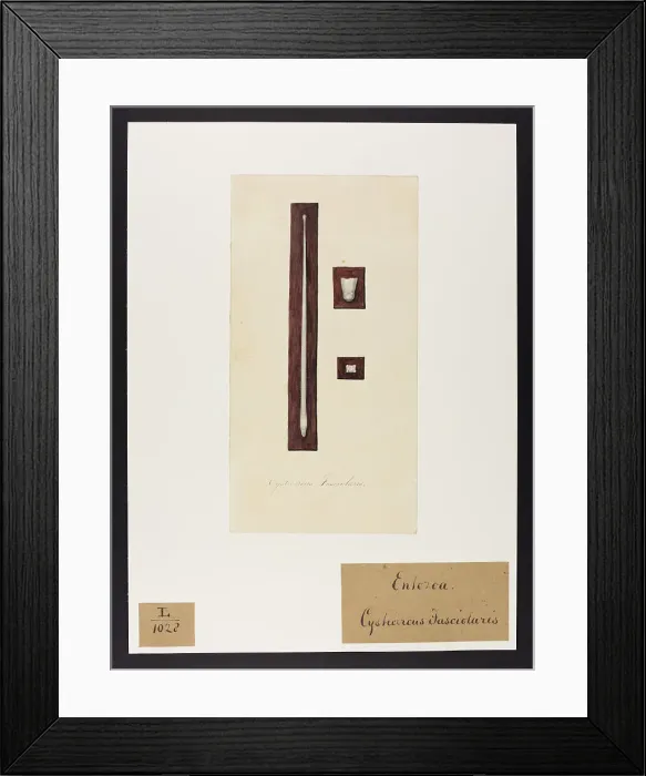 Framed Print : 13742102 Framed Print : 13742102