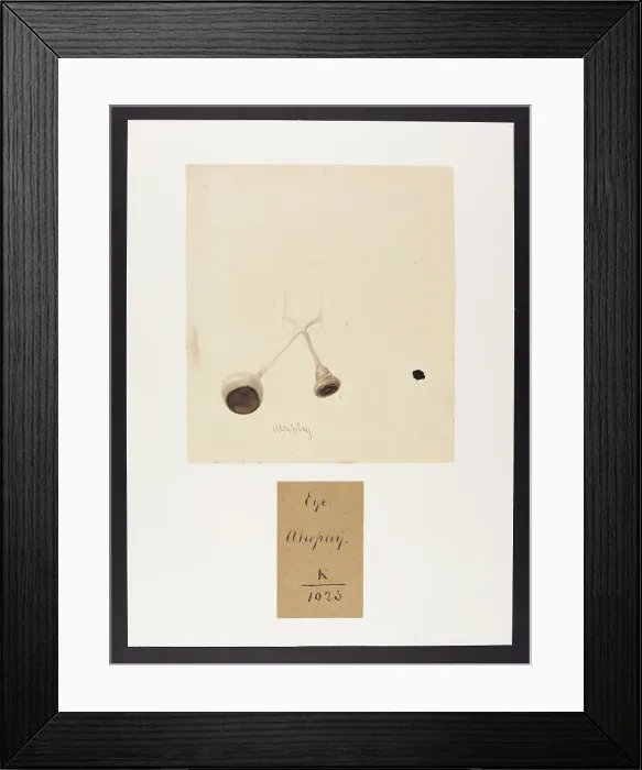 Framed Print : 13742097 Framed Print : 13742097