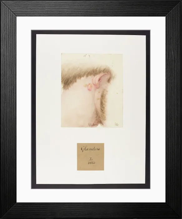 Framed Print : 13742103 Framed Print : 13742103