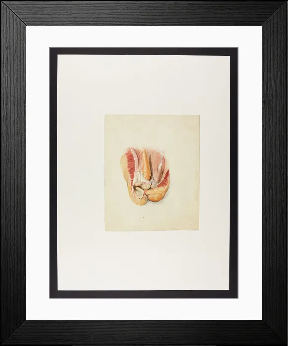 Framed Print : 13742106 Framed Print : 13742106