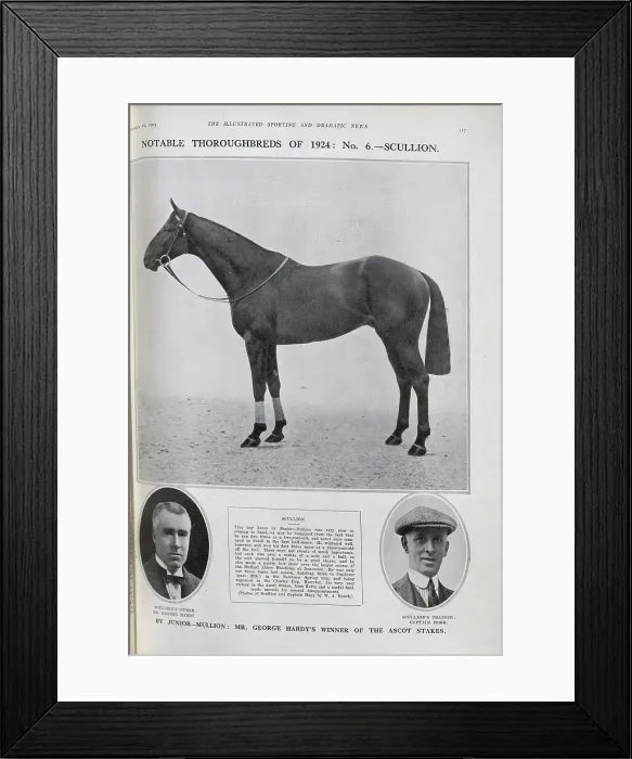 Framed Print : Racehorse Scullion Framed Print : Racehorse Scullion