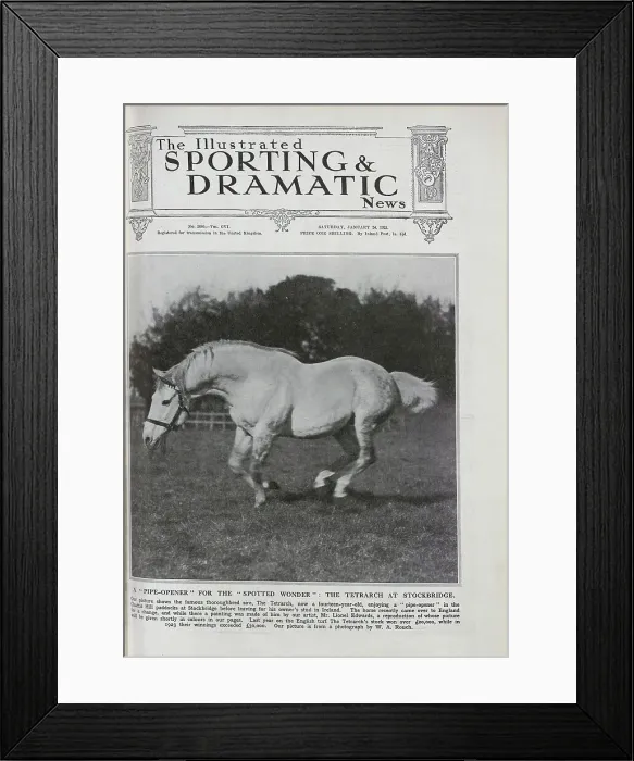 Framed Print : The Tetrarch, a Racehorse Framed Print : The Tetrarch, a Racehorse