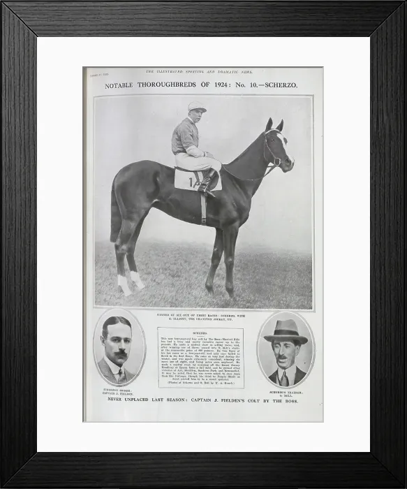Framed Print : The Racehorse Scherzo Framed Print : The Racehorse Scherzo