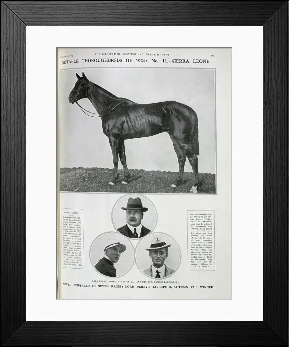 Framed Print : Sierra Leone, the Racehorse Framed Print : Sierra Leone, the Racehorse