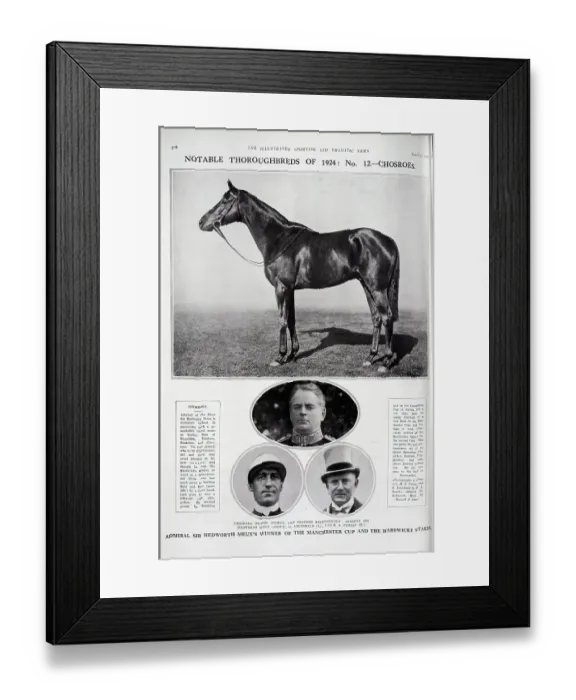 Framed Print : The Racehorse Chosroes Framed Print : The Racehorse Chosroes