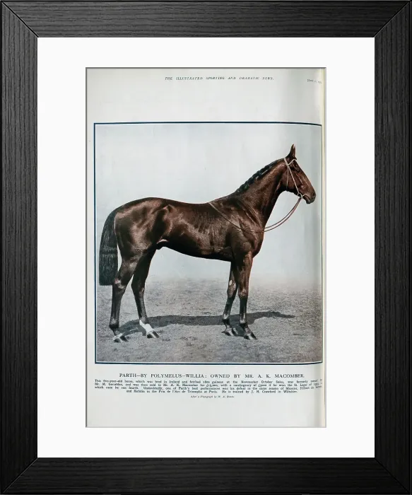 Framed Print : The Racehorse Parth Framed Print : The Racehorse Parth