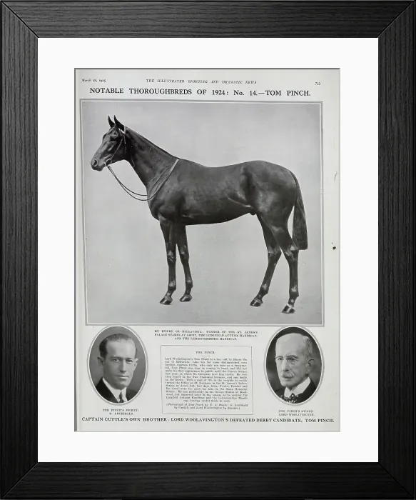 Framed Print : Tom Pinch, Racehorse Framed Print : Tom Pinch, Racehorse