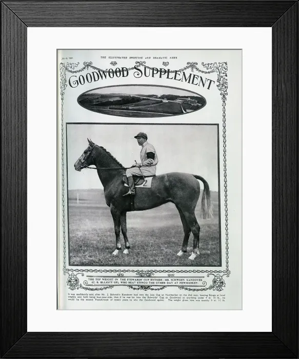 Framed Print : The Racehorse Xandover Framed Print : The Racehorse Xandover
