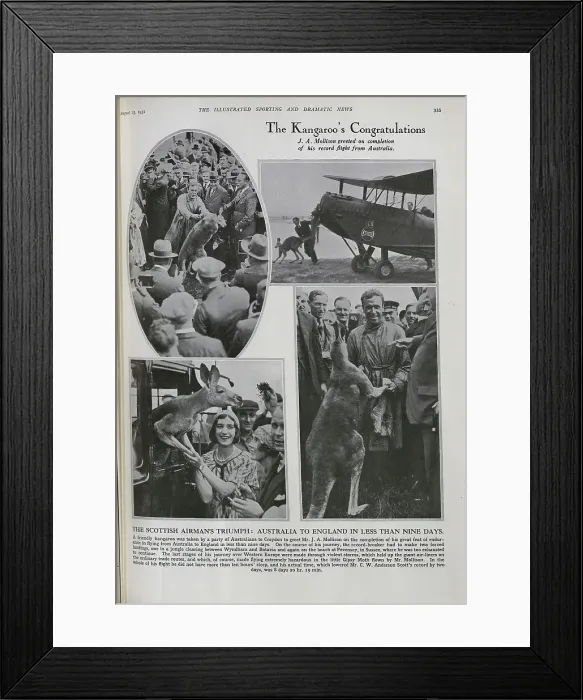 Framed Print : Jim Mollison and Kangeroo Framed Print : Jim Mollison and Kangeroo