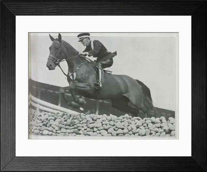 Framed Print : Horsejumping Framed Print : Horsejumping