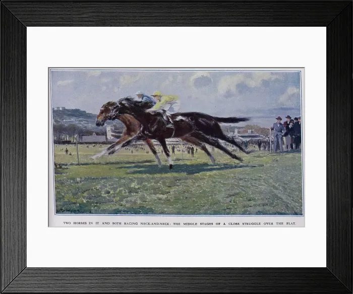 Framed Print : Horses Neck-and-Neck Framed Print : Horses Neck-and-Neck