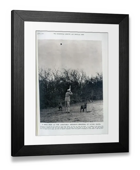 Framed Print : Pheasant Shooting at Alton Framed Print : Pheasant Shooting at Alton