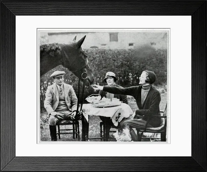 Framed Print : Horse at a Tea Party Framed Print : Horse at a Tea Party