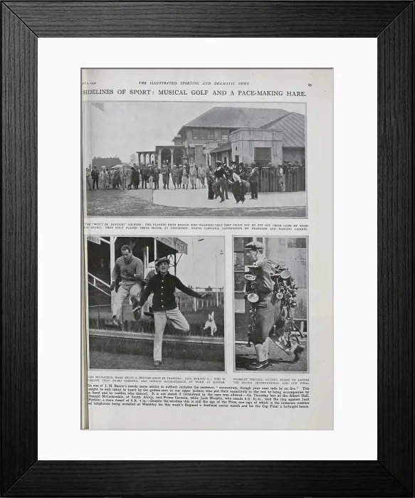 Framed Print : Sporting Curiosities Framed Print : Sporting Curiosities
