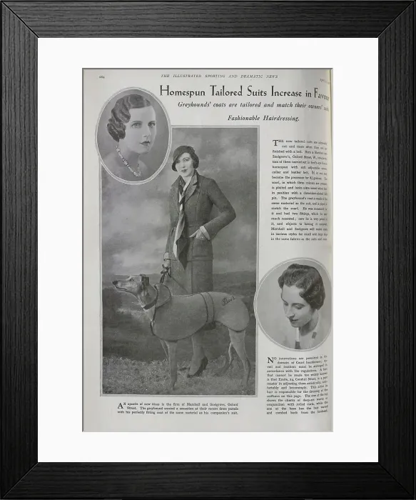 Framed Print : Fashions for Humans and Greyhounds Framed Print : Fashions for Humans and Greyhounds