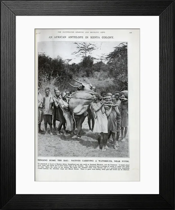 Framed Print : Kenyan Waterbuck Framed Print : Kenyan Waterbuck
