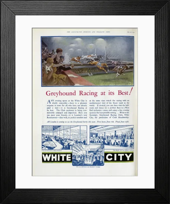 Framed Print : White City Greyhounds Framed Print : White City Greyhounds