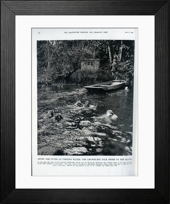 Framed Print : Crowhurst Otterhounds Framed Print : Crowhurst Otterhounds