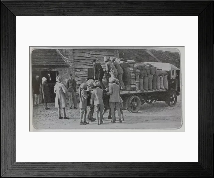 Framed Print : Food for the Maharajah's Ponies Framed Print : Food for the Maharajah's Ponies
