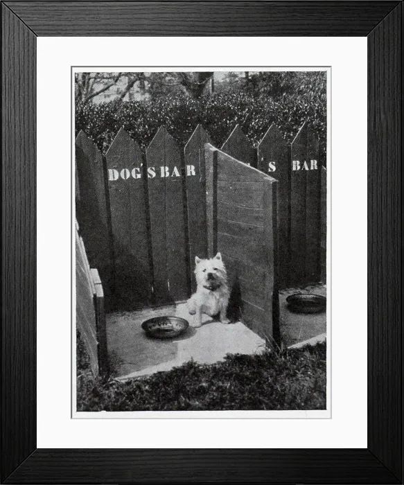 Framed Print : 13743387 Framed Print : 13743387