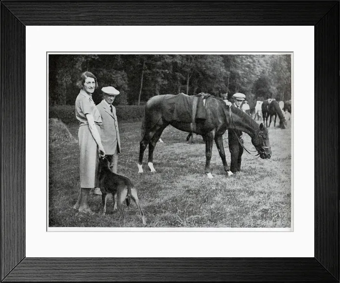 Framed Print : Hyperion in the Paddock Framed Print : Hyperion in the Paddock