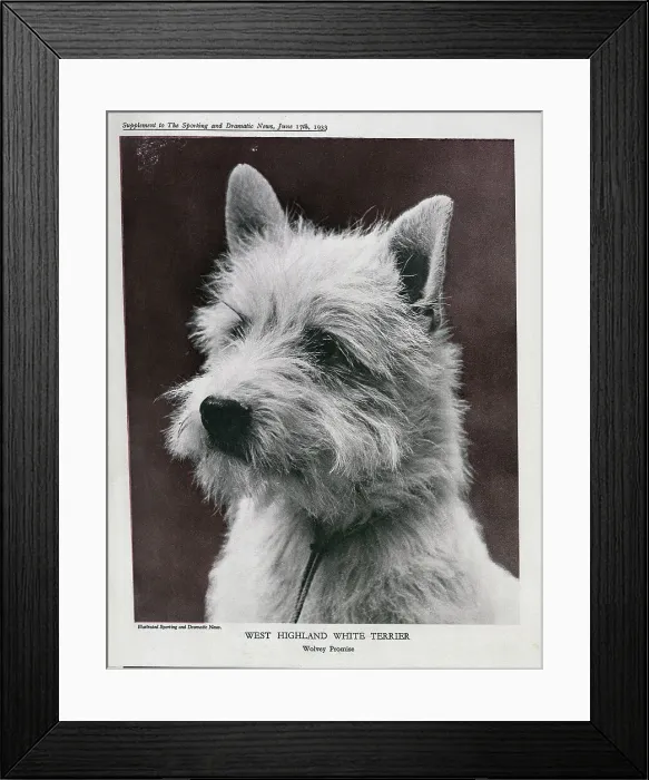 Framed Print : 13743417 Framed Print : 13743417