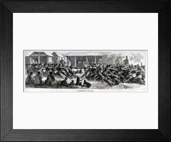 Framed Print : Burmese Tug of War Framed Print : Burmese Tug of War