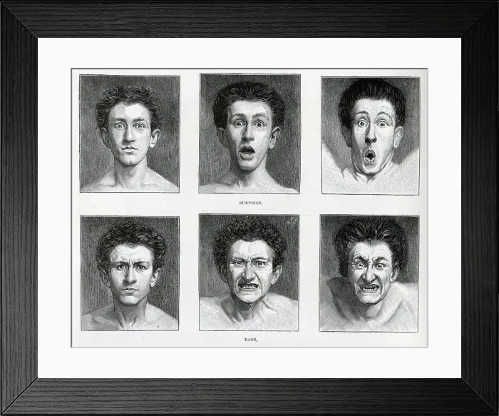 Framed Print : Facial Contortions, 6 illustrations, Surprise and Rage Framed Print : Facial Contortions, 6 illustrations, Surprise and Rage