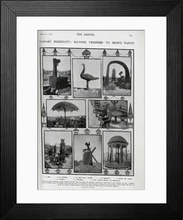Framed Print : Photographs of elaborate topiary Framed Print : Photographs of elaborate topiary
