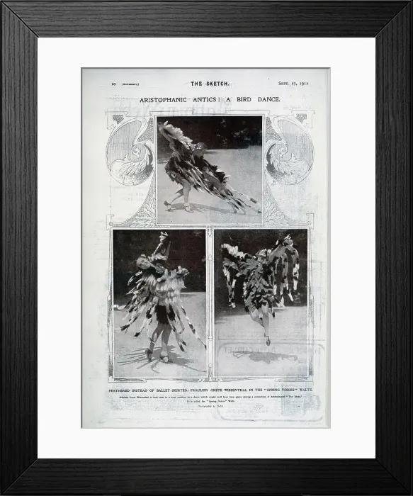 Framed Print : Grete Wiesenthal, Austrian dancer, in feathered costume Framed Print : Grete Wiesenthal, Austrian dancer, in feathered costume