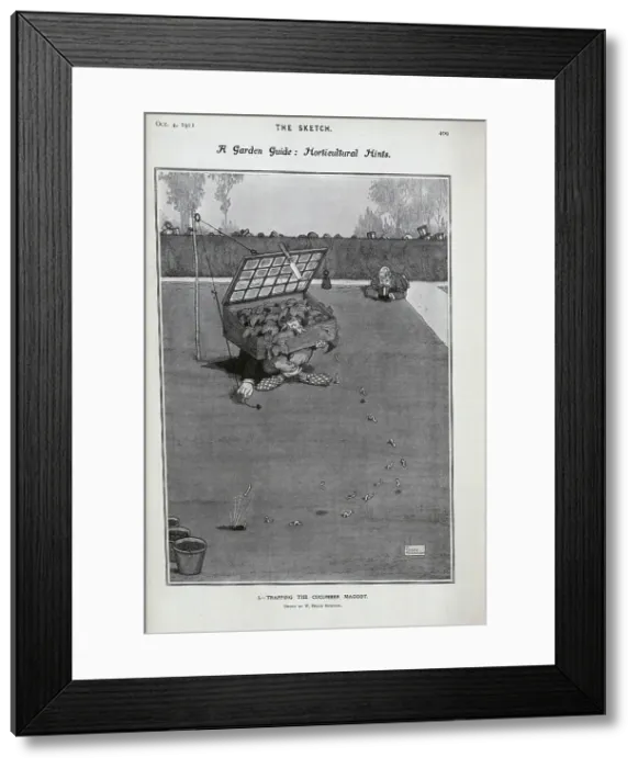Framed Print : Trapping cucumber maggots with person hiding in cold frame Framed Print : Trapping cucumber maggots with person hiding in cold frame