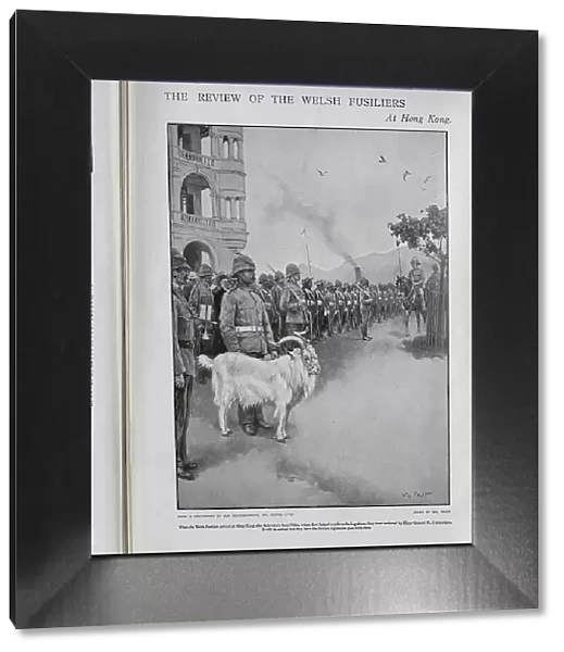 Welsh Fusiliers and goat