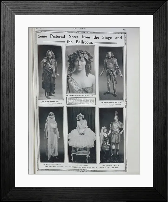Framed Print : Fancy Dress Ball Framed Print : Fancy Dress Ball