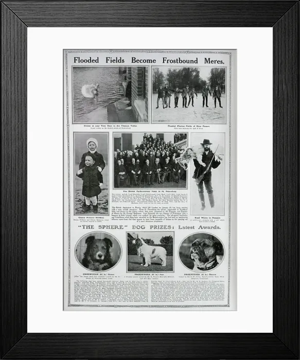 Framed Print : Swans in the Thames Valley Framed Print : Swans in the Thames Valley