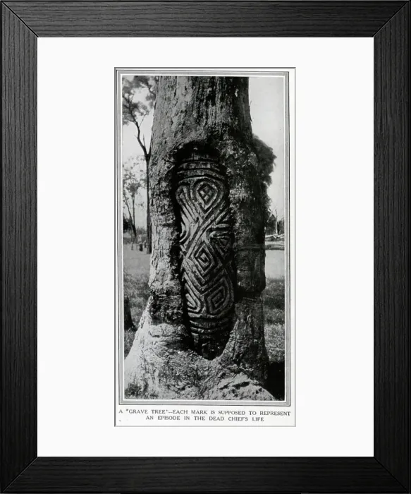 Framed Print : A grave tree carving Framed Print : A grave tree carving