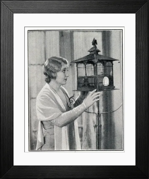 Framed Print : Belle Bennett, American stage and screen actress Framed Print : Belle Bennett, American stage and screen actress