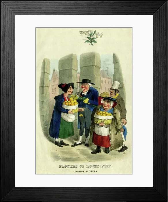 Framed Print : Georgian cartoon, Flowers of Loveliness Framed Print : Georgian cartoon, Flowers of Loveliness