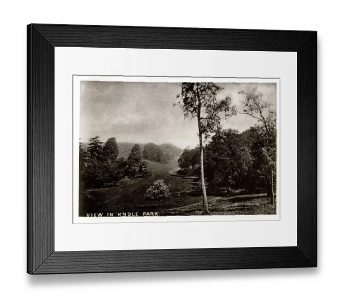 Framed Print : View in Knole Park, Kent Framed Print : View in Knole Park, Kent