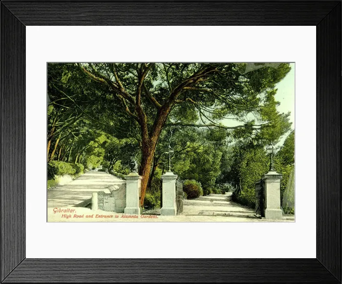 Framed Print : High Road and Entrance to Alameda Gardens, Gibraltar Framed Print : High Road and Entrance to Alameda Gardens, Gibraltar