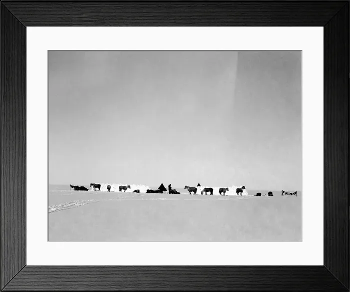 Framed Print : Robert Falcon Scott, Terra Nova Expedition, Antarctic Framed Print : Robert Falcon Scott, Terra Nova Expedition, Antarctic