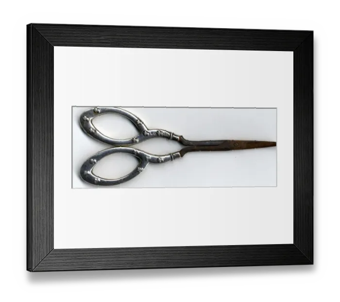 Framed Print : RMS Titanic - nail scissors recovered by CS Mackay-Bennett Framed Print : RMS Titanic - nail scissors recovered by CS Mackay-Bennett