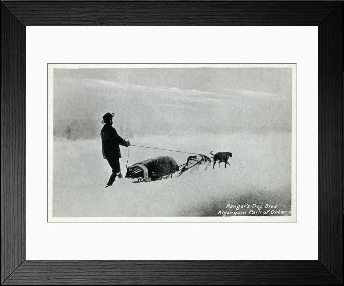 Framed Print : Ranger's Dog Sled - Algonquin Park of Ontario, Canada Framed Print : Ranger's Dog Sled - Algonquin Park of Ontario, Canada