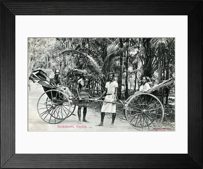 Framed Print : Rickshaws and Drivers, Sri Lanka Framed Print : Rickshaws and Drivers, Sri Lanka