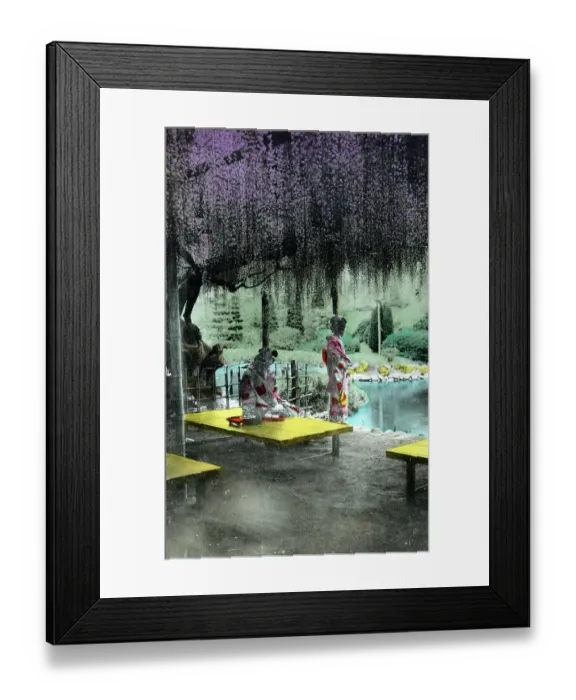 Framed Print : Wisteria Blossom - Kameido Tenjin Shrine, Tokyo, Japan Framed Print : Wisteria Blossom - Kameido Tenjin Shrine, Tokyo, Japan