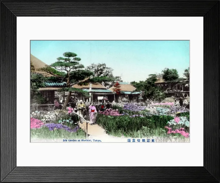 Framed Print : Horikiri Shobuen Iris Garden, Tokyo, Japan Framed Print : Horikiri Shobuen Iris Garden, Tokyo, Japan