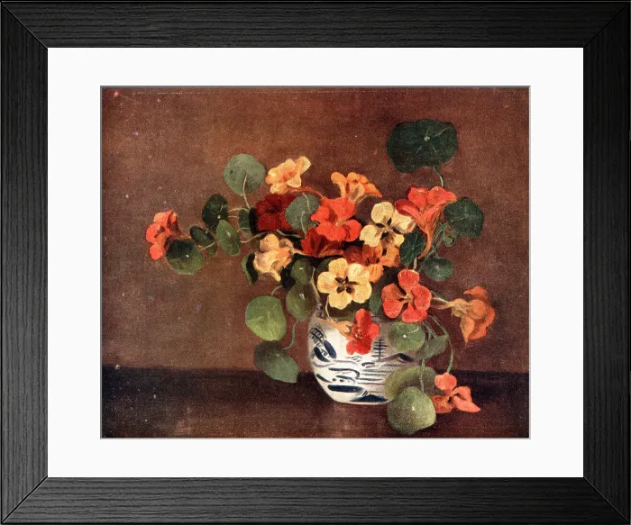 Framed Print : Nasturiums Framed Print : Nasturiums
