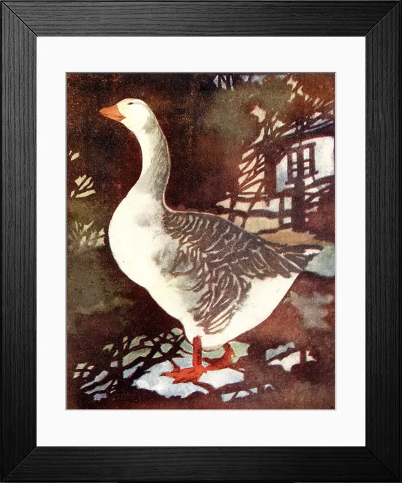 Framed Print : The Gander Framed Print : The Gander