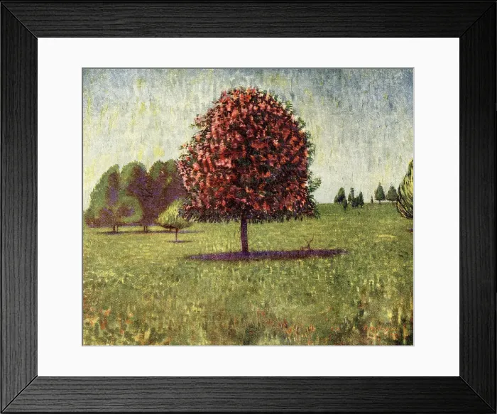 Framed Print : The Pink Chestnut Framed Print : The Pink Chestnut