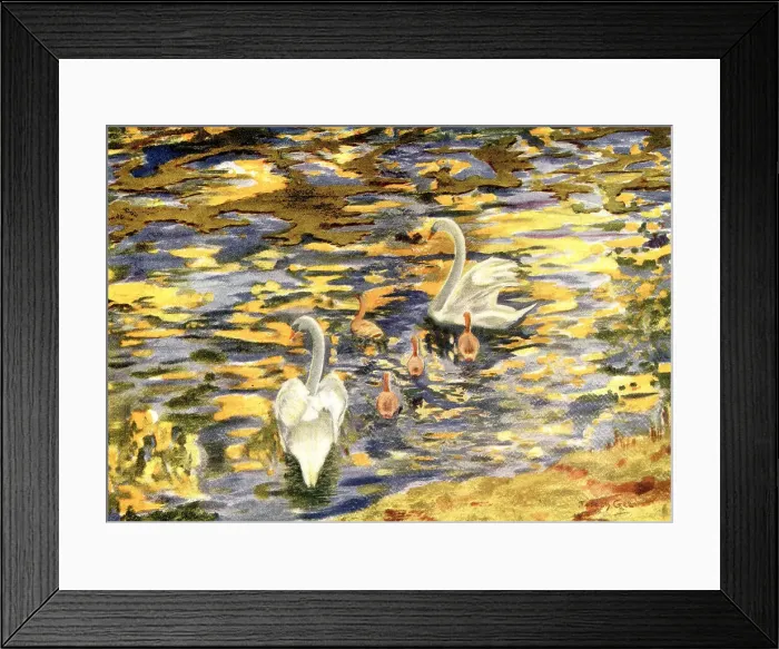 Framed Print : Sunny Waters Framed Print : Sunny Waters