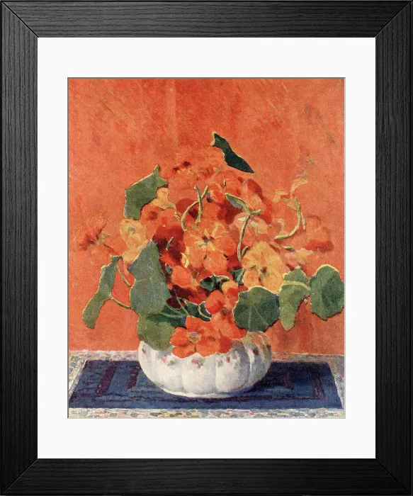 Framed Print : Nasturiums Framed Print : Nasturiums